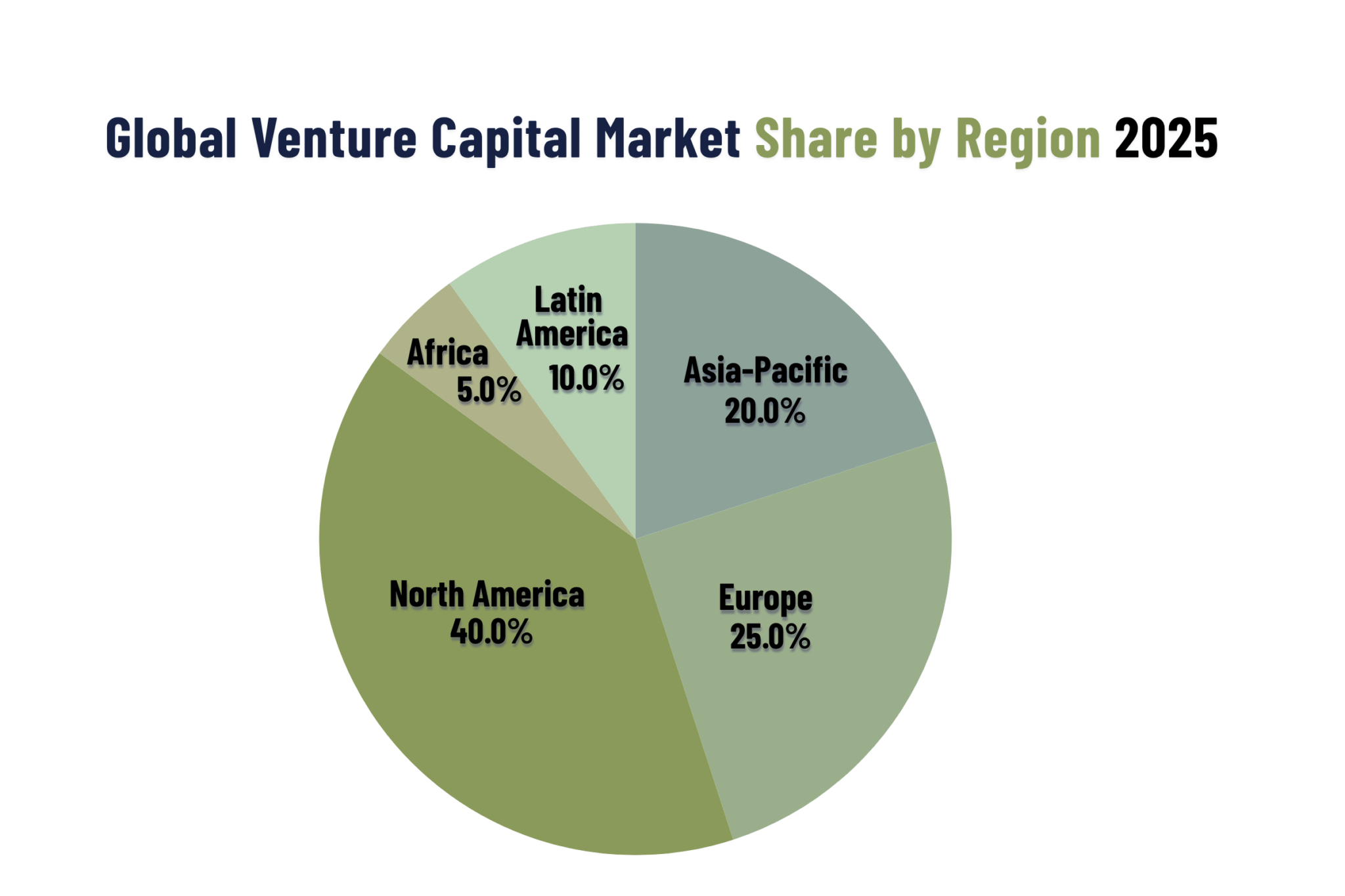 Navigating Global Venture Capital Regional Insights & 2025.